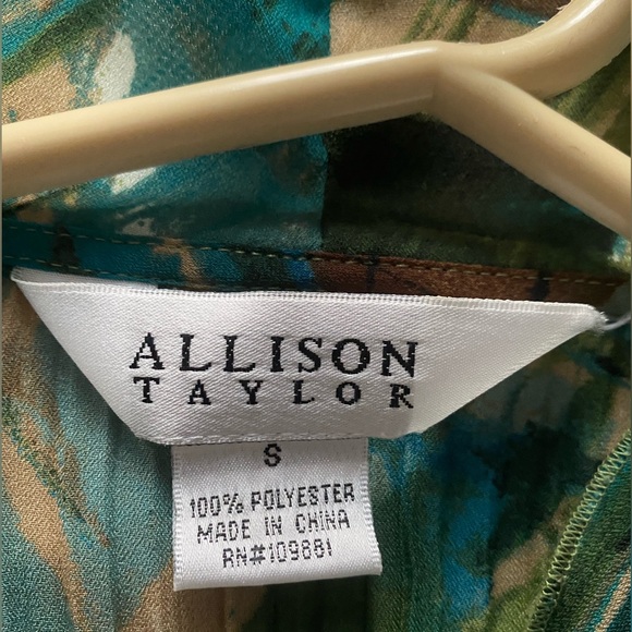 Small Allison Taylor sheer button down blouse. - Picture 2 of 3